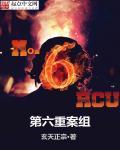 六重案组1