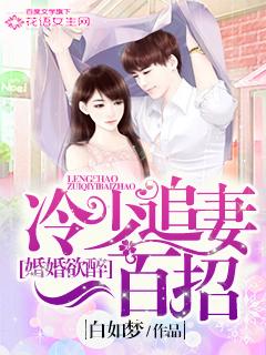 冷婚免费全文阅读