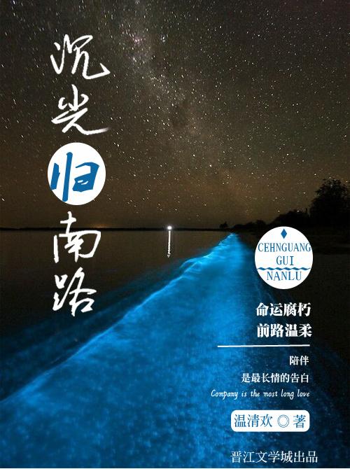 沉光归南路第50章