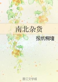 南北杂货txt全文