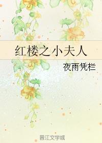 红楼之夫人心想事成