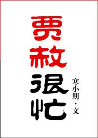 贾赦很忙 寒小期txt