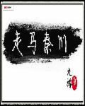 走马秦川尘土里打一准确生肖数字