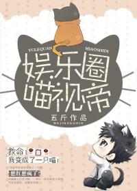 娱乐圈喵总