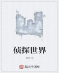 世界侦探游戏