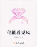 他看见风筝飞起来翻译