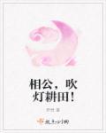 当家小俏媳全文免费阅读