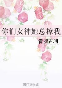 你们女神是我的娱乐圈免费阅读