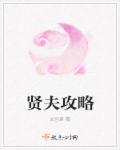 贤夫难得全文免费阅读