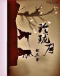 1930来的先生