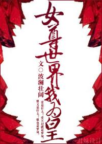 女尊世界的男人们(女攻)