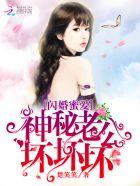 闪婚蜜爱神秘老公坏坏坏林关关沐少景