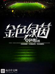 金色绿茵起点