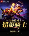 天命传说之错影骑士星空玉