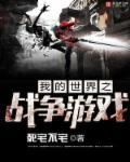 我的世界战争视频