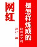网红是怎么起来的