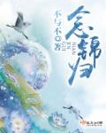 念锦归 视频