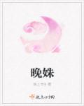 晚姝集
