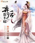 弃后惹不起免费阅读