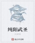 纯阳武圣境