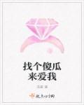 给我找个傻瓜