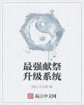 最强祭司天赋加点图