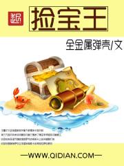 捡宝王免费听书