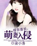报告首长萌妻入侵txt