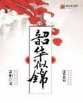 韶华似锦的下一句