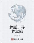寻梦之旅500字作文