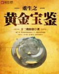 重生之黄金宝鉴百度