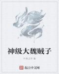 神级大魏贼子 不务正爷