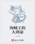 海贼王的大剑豪都有谁