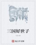 三国之袁世子