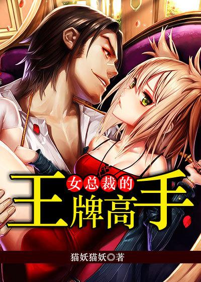 女总裁的王牌高手漫画