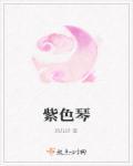 紫色琴黄家驹