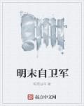 明朝军卫
