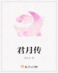 君月传煤胡祥瑞