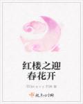 红楼之迎春是个神医