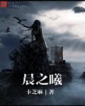 晨之曦国际贸易