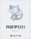 梦幻西游单机版