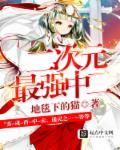 二次元角色