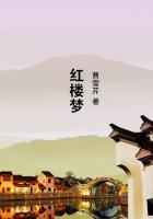 红楼梦是真实历史吗
