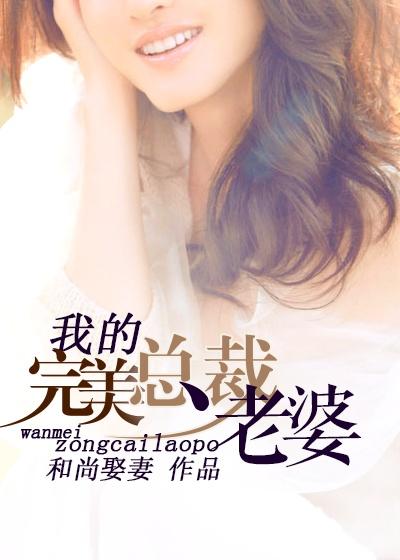 我的完美总裁老婆叶凡温岚免费阅读