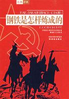 钢铁是怎样炼成的哪个版本翻译的好