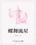 流星舞蝶剑