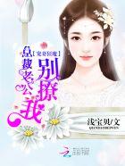 宠妻狂魔总裁老公别撩我免费阅读