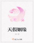 天假姻缘壮日全