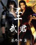 不二臣是什么意思?