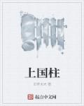上国柱肩章图片大全